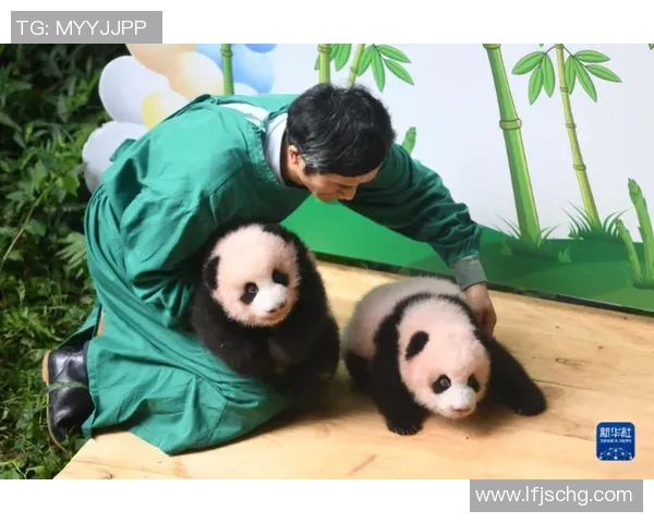 足球明星与可爱熊猫亲密互动拍照视频展现温馨瞬间 足球明星与可爱熊猫亲密互动拍照视频展现温馨瞬间